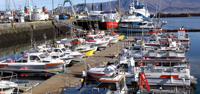 Reykjavík Grand Excursion