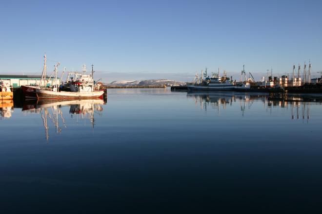 Reykjavik City Sightseeing by minibus