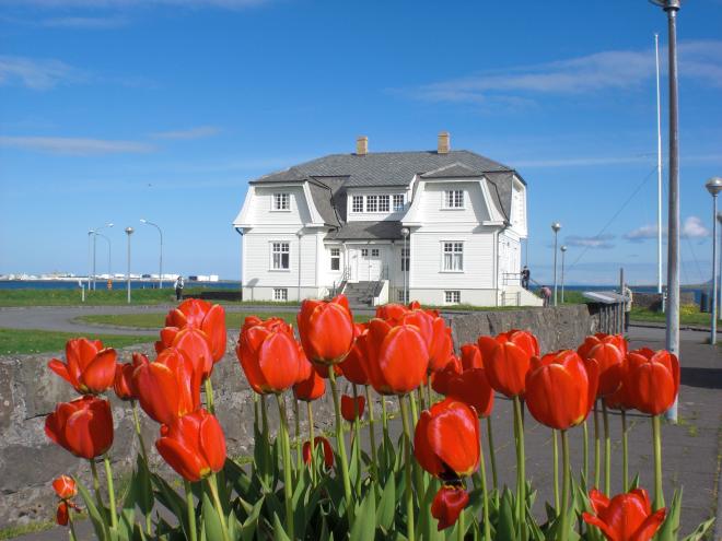 Reykjavik City Sightseeing by minibus