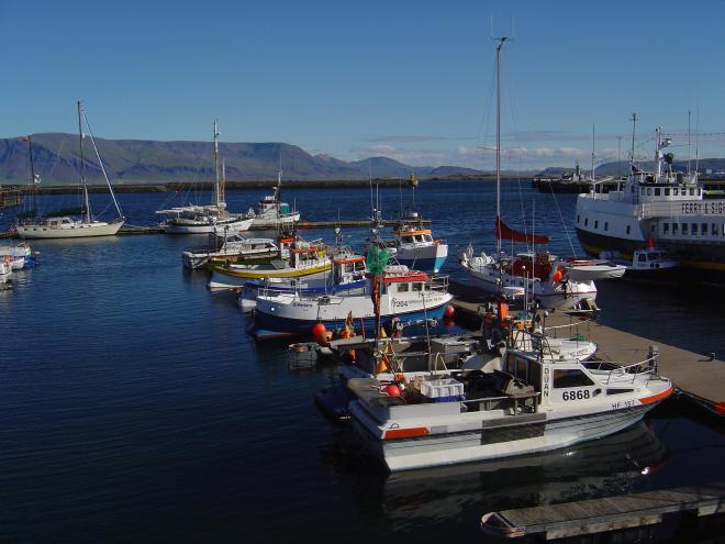 Reykjavik City Sightseeing by minibus