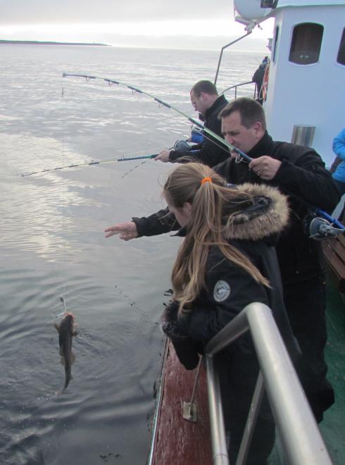 Sea-angling and Birdwatching