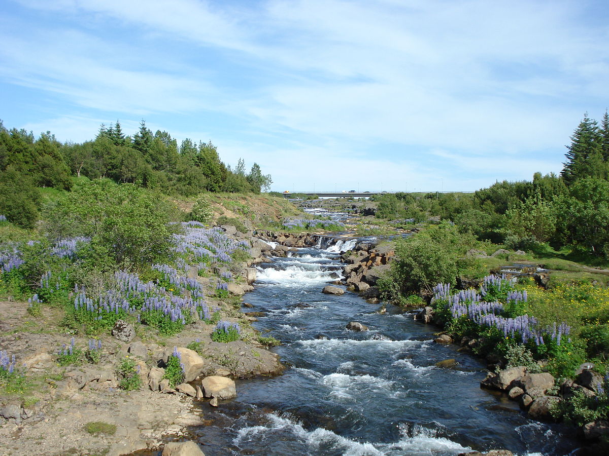 Ellidaar (Elliðaár) Salmon River