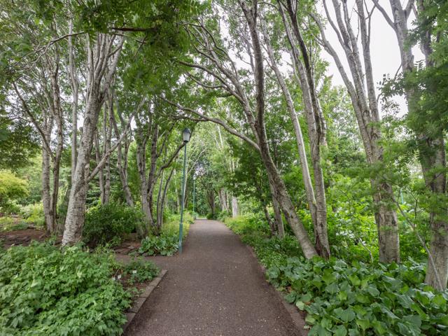 Akureyri Public Park