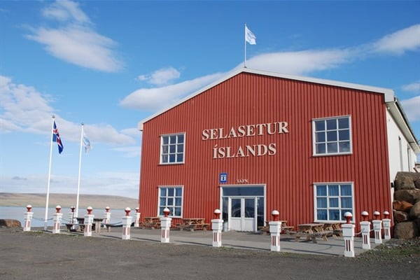 The Icelandic Seal Centre