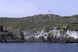 Papey Island