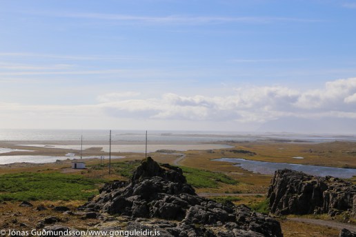 Bulandsnes Bird Reserve (Búlandsnes)