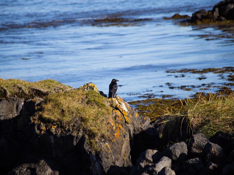 Budir (Búðir) place of beauty