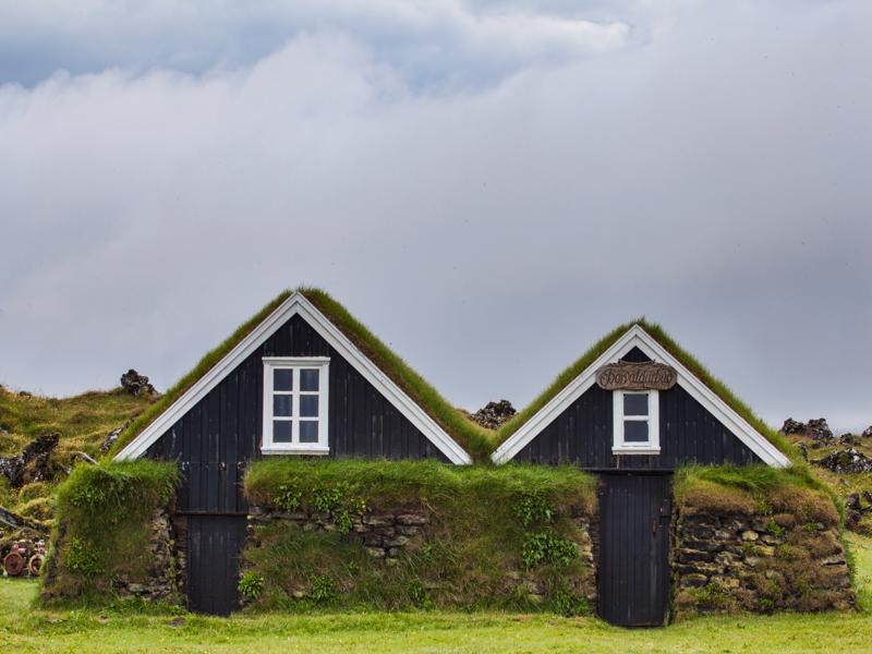 Arctic Tern Nesting areas on Snæfellsnes