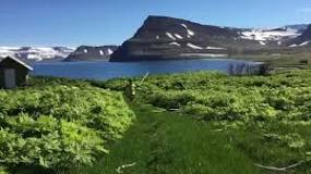 Adalvik (Aðalvík), deserted Village in a Nature Reserve