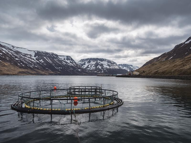 Sudureyri (Suðureyri) -  A Sustainable Fishing Community