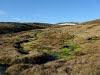 Coastal walk, Westfjords