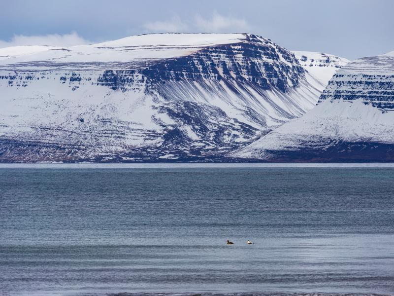 Drangajokull (Drangajökull) glacier