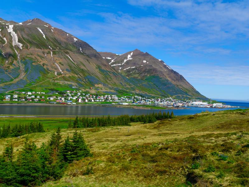 Siglufjordur (Siglufjörður) Herring History