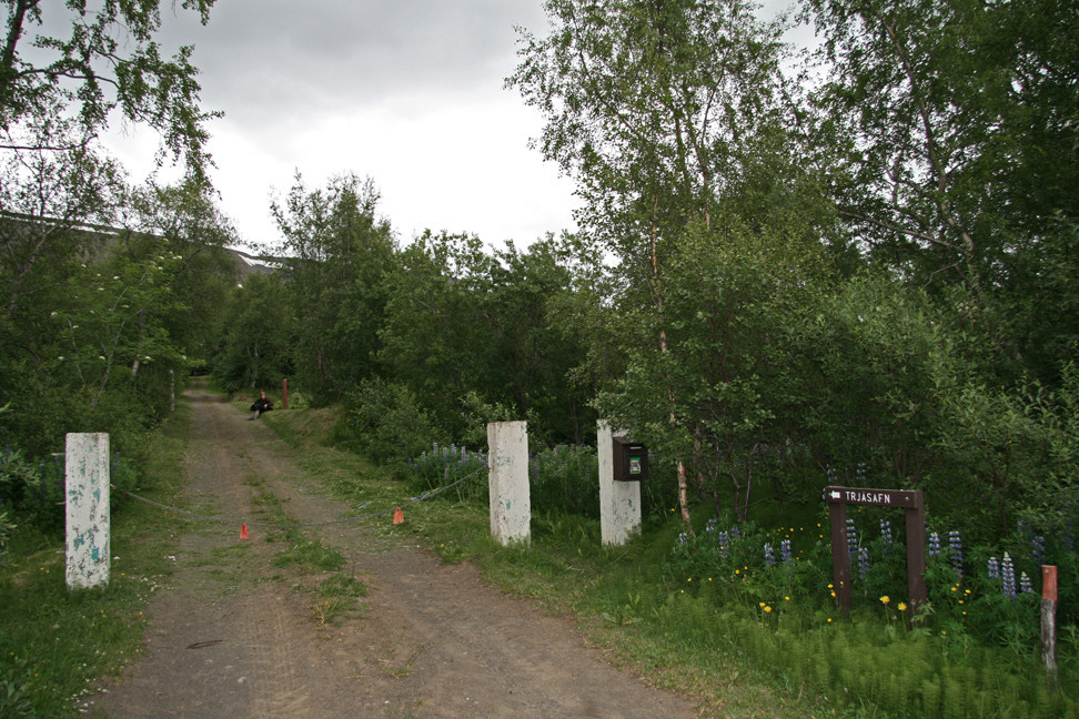 Vaglaskogur - A Beautiful Birch Forest