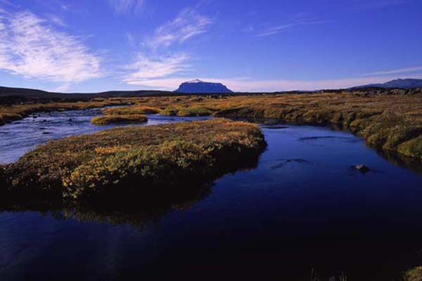 Herdubreidarlindir (Herðubreiðarlindir) Oasis