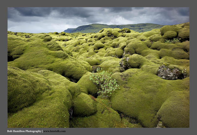 Eldhraun Lava Field