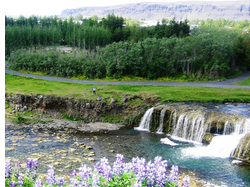 Hveragerdi (Hveragerði) - The Geothermal Town