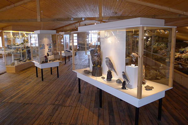 Neskaupstadur Museum (Safnahúsið)