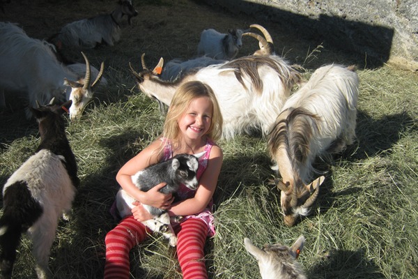 The Icelandic Goat Centre