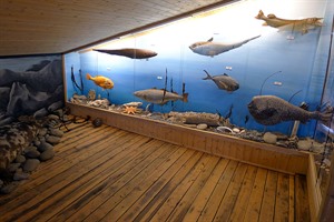 The Museum Of Natural History In Neskaupstadur