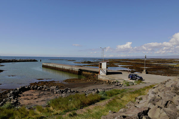 Stokkseyri Coast Birdlife